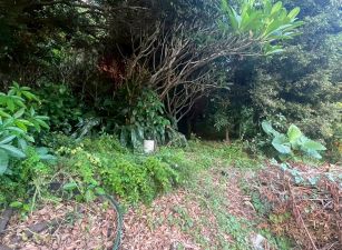 北屯區大學段低價投資土地