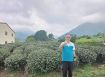 鹿谷鳳凰頂城段都計內海拔760M景觀農地台中買屋賣房土地王劉志忠