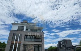 縣政旁百建坪電梯農舍-21世紀*游力暟