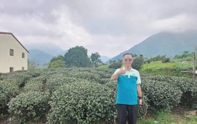 鹿谷鳳凰頂城段都計內海拔760M景觀農地台中買屋賣房土地王劉志忠