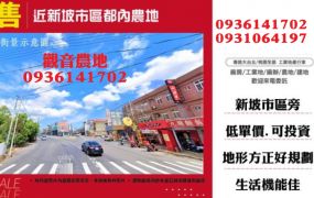 觀音都內農地-近新坡市區都內農地