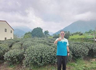 鹿谷鳳凰頂城段都計內海拔760M景觀農地台中買屋賣房土地王劉志忠