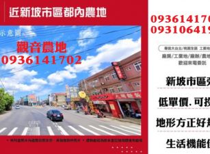 觀音都內農地-近新坡市區都內農地