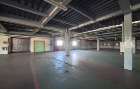 大園/獨立廠區/挑高SC+RC廠房 •   桃園廠房買賣/工業地/建地/徵收農地/廠房出租