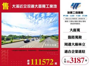 大溪近交流道大面寬工業地136