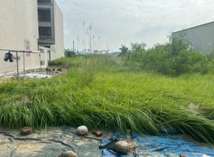 北港路旁都計農地28-009