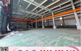 湖口門面氣派新穎挑高鋼構廠房(可分售大小廠)/工業地廠房買賣租賃