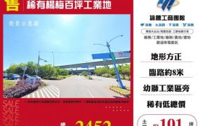 稀有楊梅百坪工業地176