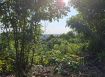 大崗山風景區｜超低總價權利地｜休閒農場
