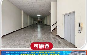 烏樹林新穎RC大廠房