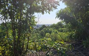 大崗山風景區｜超低總價權利地｜休閒農場