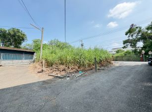 民雄街都計農地09-101