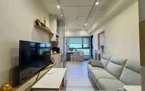 安平潤隆真愛2小資明亮兩房