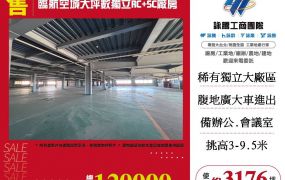 大園航空城大坪數獨立廠房