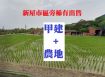 獨家-新屋市區旁漂亮農+建