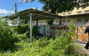 嘉義溪口三疊溪12米路農地