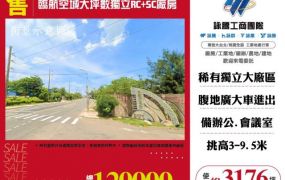 臨航空城大坪數SC+RC獨立廠房131