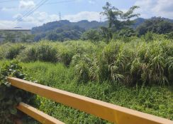 關西台三線平坦農地