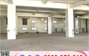 交流道旁挑高廠房(可依法廠登)/工業地廠房買賣租賃
