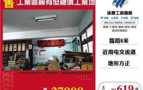 工業區稀有低總價工業地