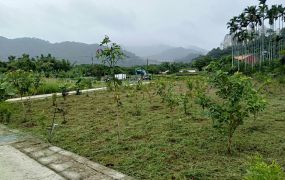 龍潭方正都計美地