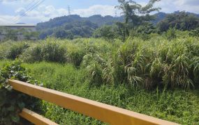 關西台三線平坦農地
