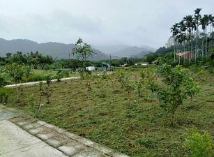龍潭方正都計美地