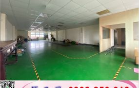 烏樹林工業RC廠房/工業地廠房買賣租賃