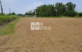 大園近月眉山東農地