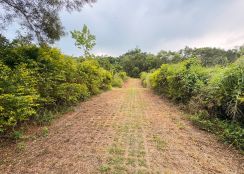 鳥松休閒農地
