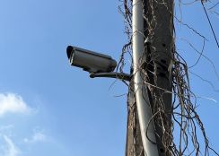🌟限量【租】｜大寮光華路鋼構廠房 ｜緊鄰88快速道路！