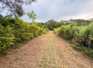 鳥松休閒農地