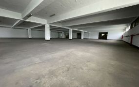 海湖獨棟RC+SC廠房