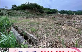 鶯歌千坪方正工業地/工業地廠房買賣租賃