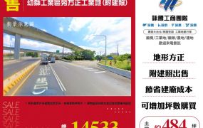 幼獅工業區旁方正工業地(附建照)148