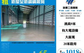 新屋全新鋼構貨梯大電天車廠房105