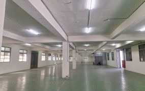 土城/10米路/甲工廠房(可廠登) •     新北市廠房買賣/工業地/建地/徵收農地/廠房出租