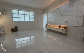 高醫熱河九如商圈翻新雙衛開窗大三房