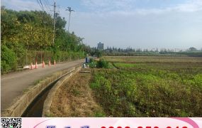 觀音上大國小旁甲建/工業地廠房買賣租賃