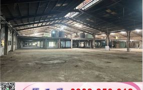 大江旁挑高超值倉庫/工業地廠房買賣租賃