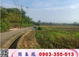 觀音上大國小旁甲建/工業地廠房買賣租賃