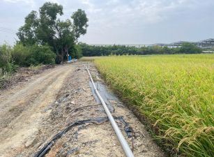 太保白鴿厝農地(A)08-008