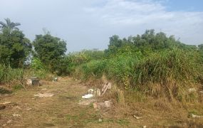 觀音上大國小旁甲建