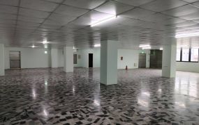 琪琪🐝推~近61海湖全新RC廠房1+2樓