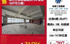 湖口工業區鑫豐時代8F廠辦(6戶可分售)155