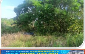 觀音上大好市多旁甲建