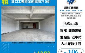 湖口工業區全新廠辦7F(A8)155