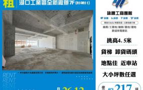 湖口工業區全新廠辦7F(A10A11)155