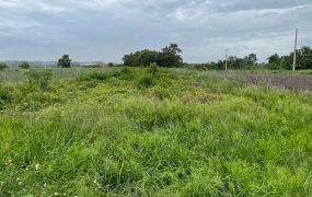 大樹水寮國小旁2.29分農地|有臨路|