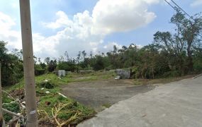 大樹近水管路2.52分農地|大車可進出|